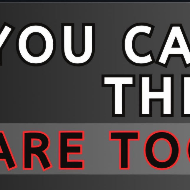 Funny Bumper Magnet & Bumper Sticker Included: Inspirational Car DecalSticker + Magnet Bundle
